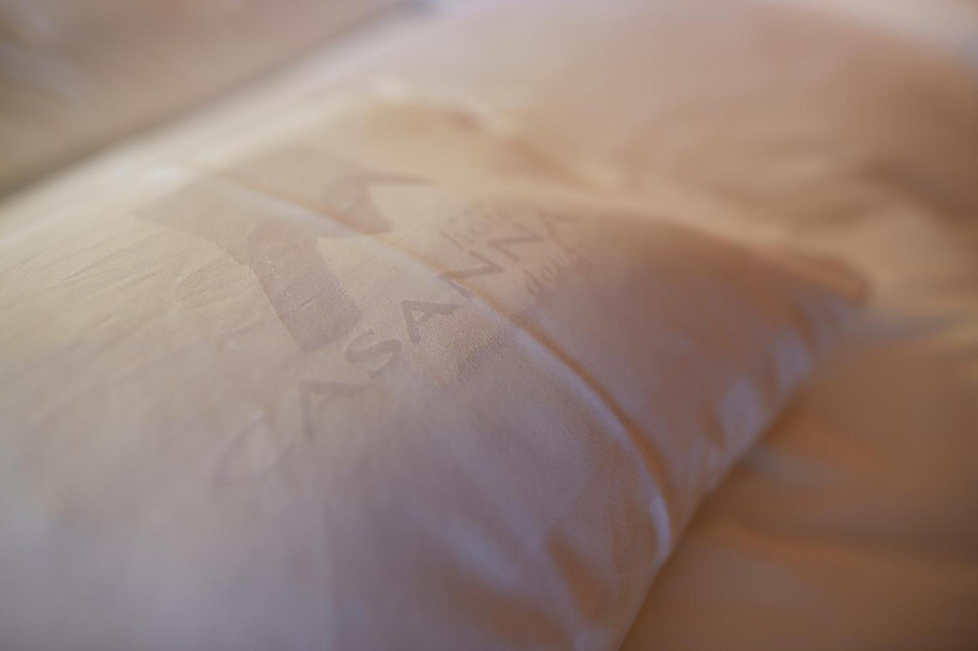 Casanna Hotel Davos City Center Pokój zdjęcie